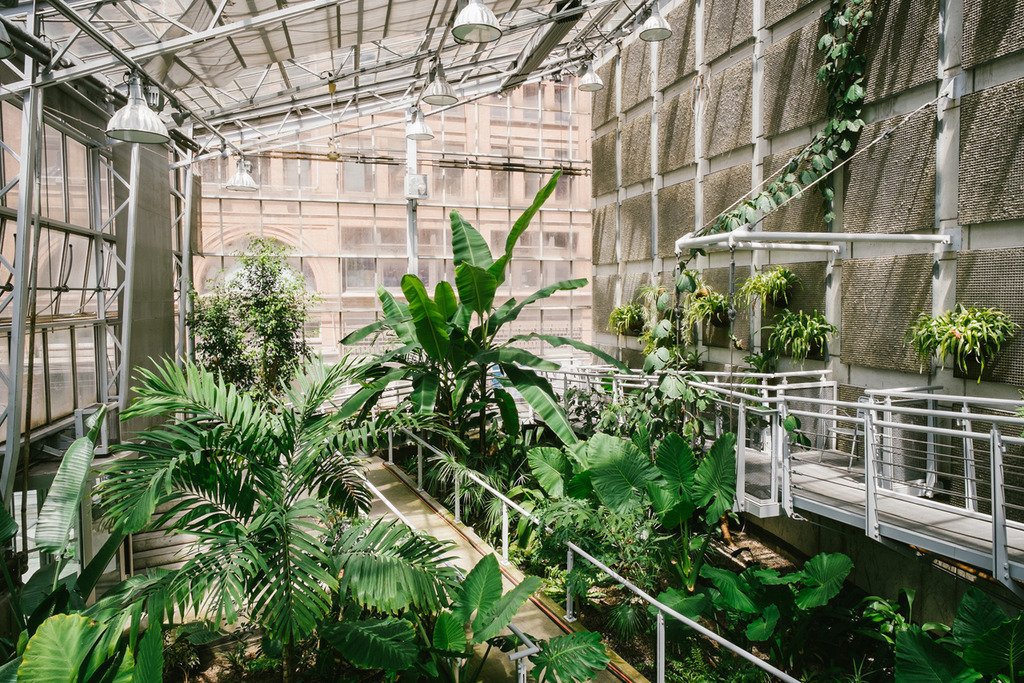 Cloud-Gardens-Conservatory-Tropical-Greenhouse